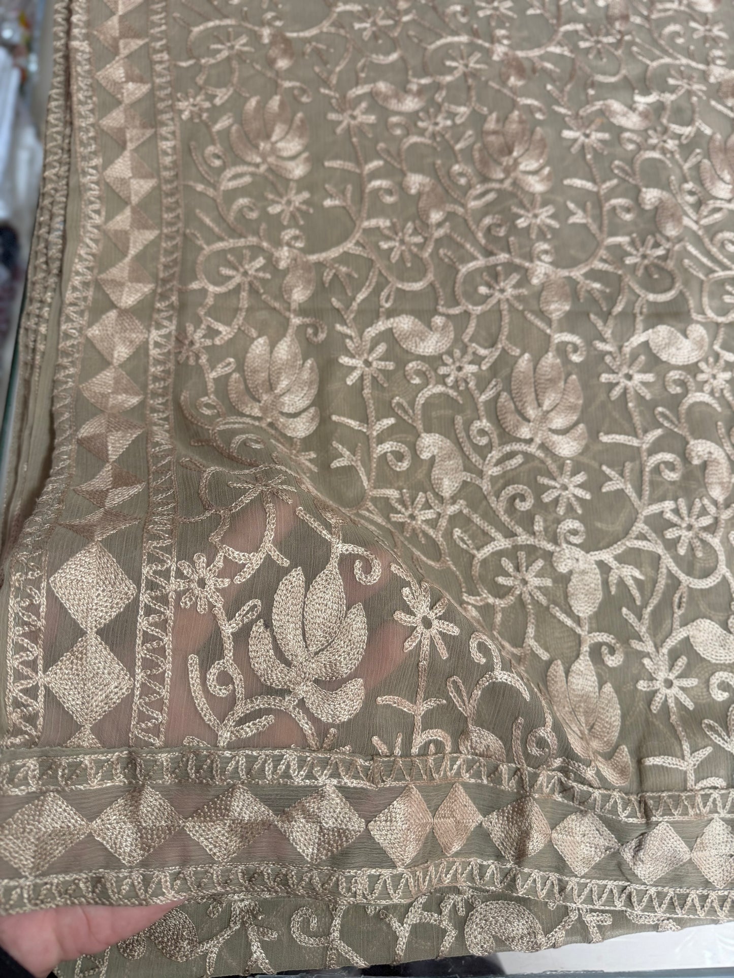 Crinkle Chiffon Kashmiri Jaal Embroidered Dupatta | Skin