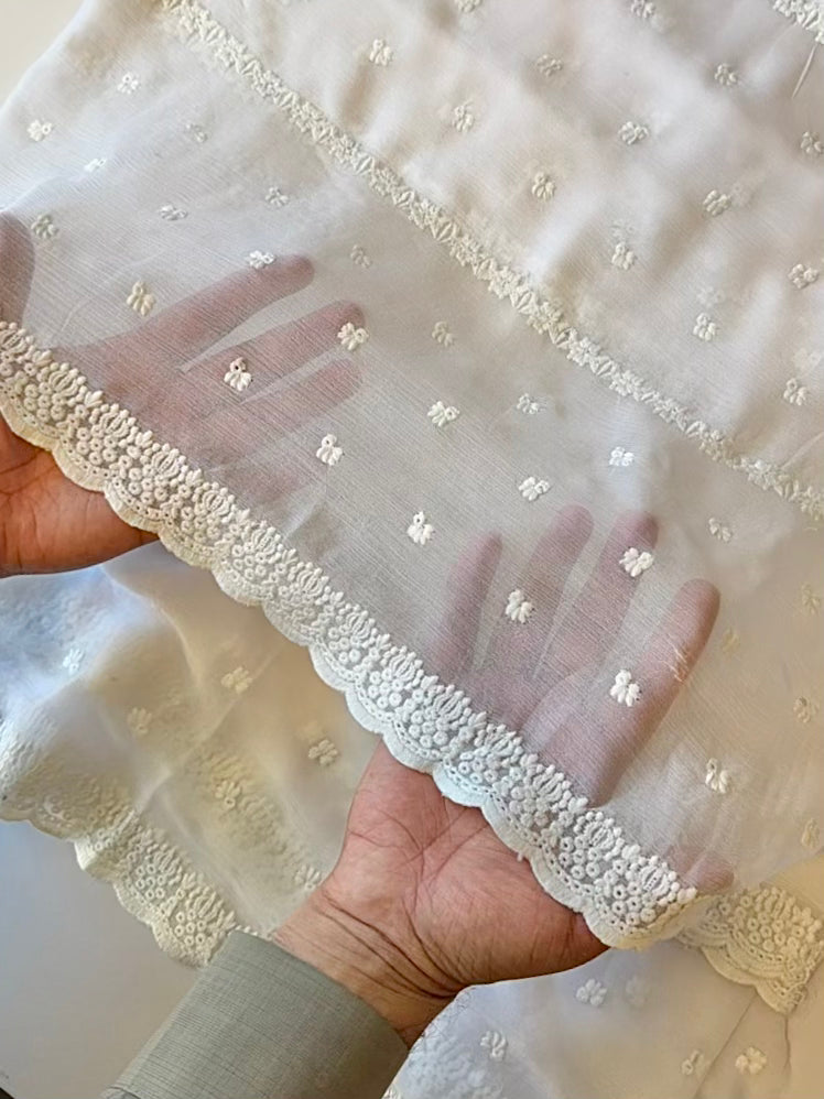 Chikankari Dyeable Crinkle Chiffon Embroidered Dupatta | White New