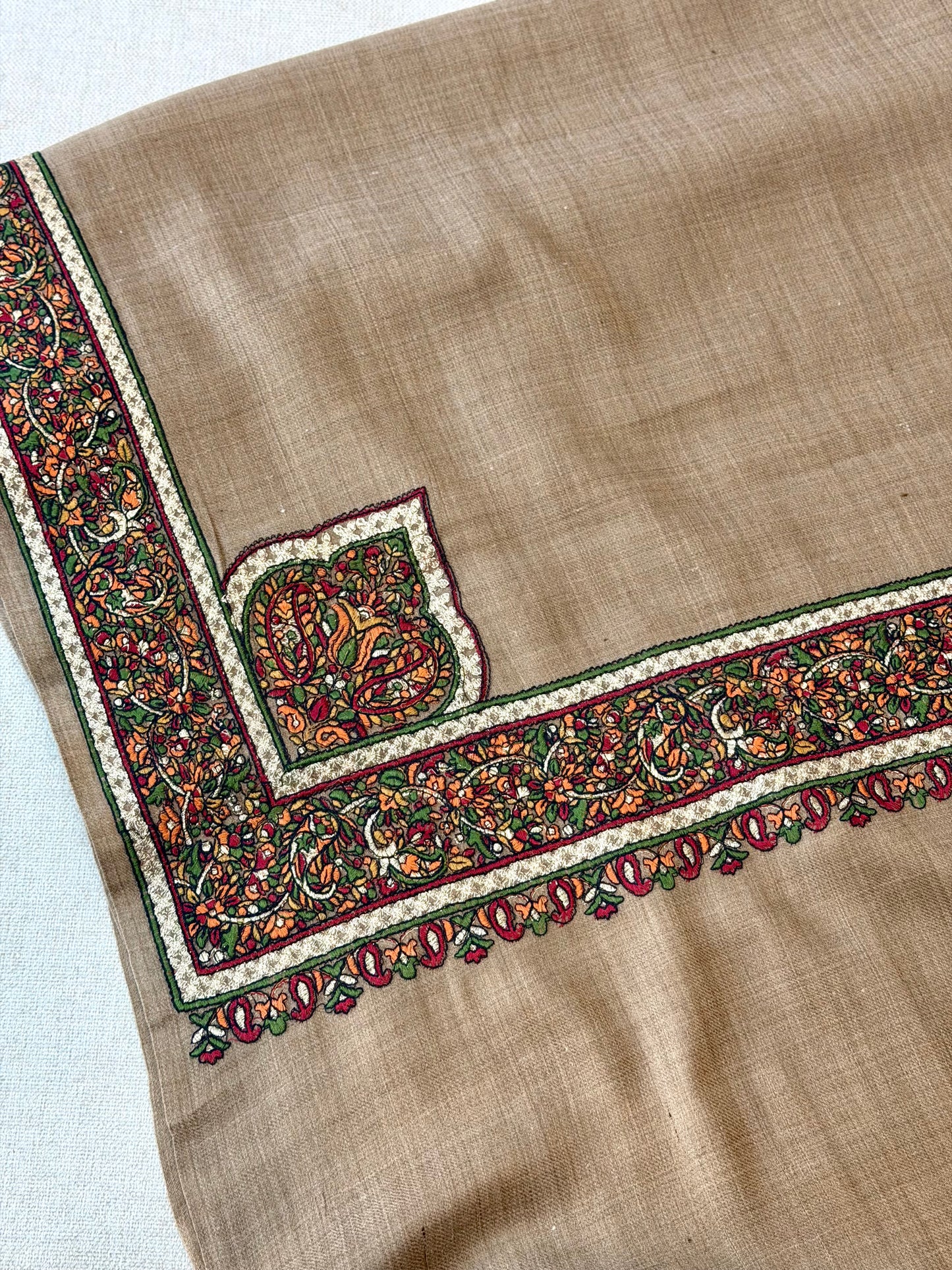Kashmiri Shawl | Fancy Border Embroidery on Pashmina | Skin