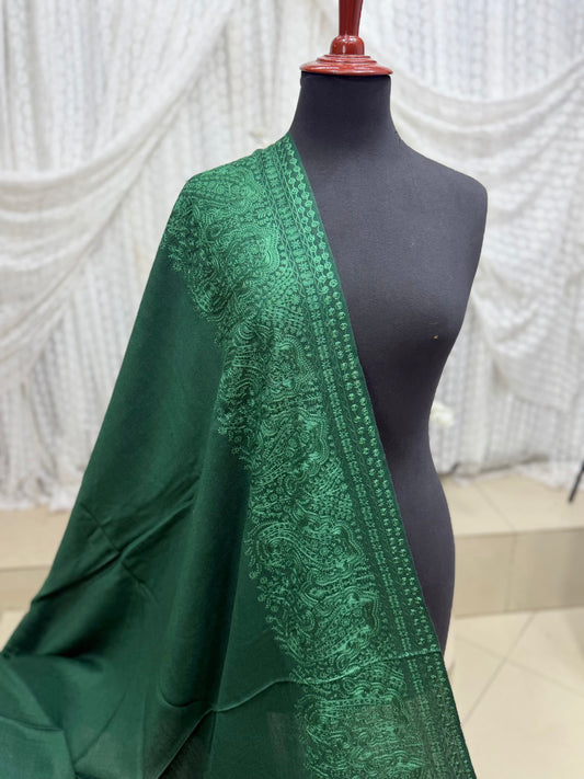 Kashmiri Shawl | 4 Side Wide Border Kashmiri Embroidery | Green