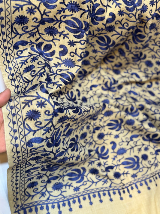Skin With Blue Pashmina Embroidered Shawl | Kashmiri Aar Work Embroidery
