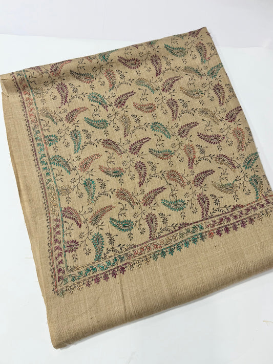 Pashmina Shawl | Hand Embroidery on Print Beautiful Shawl | Skin