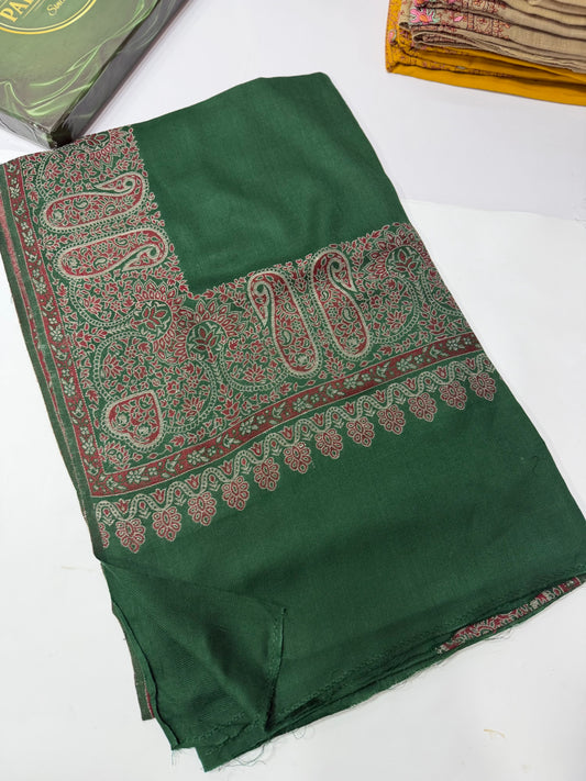 Pashmina Wool Kani Border Shawl in Full Size 4 Side Border | Green