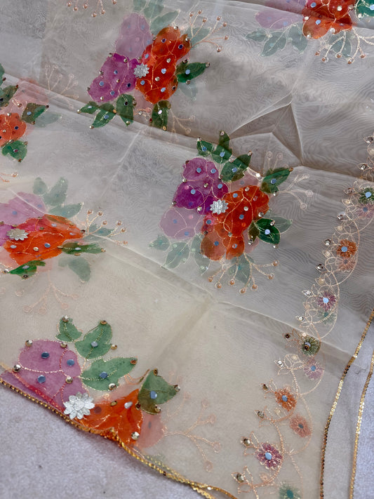 Fancy Organza Mirror Work and Embroidered Dupatta With Paint | Skin