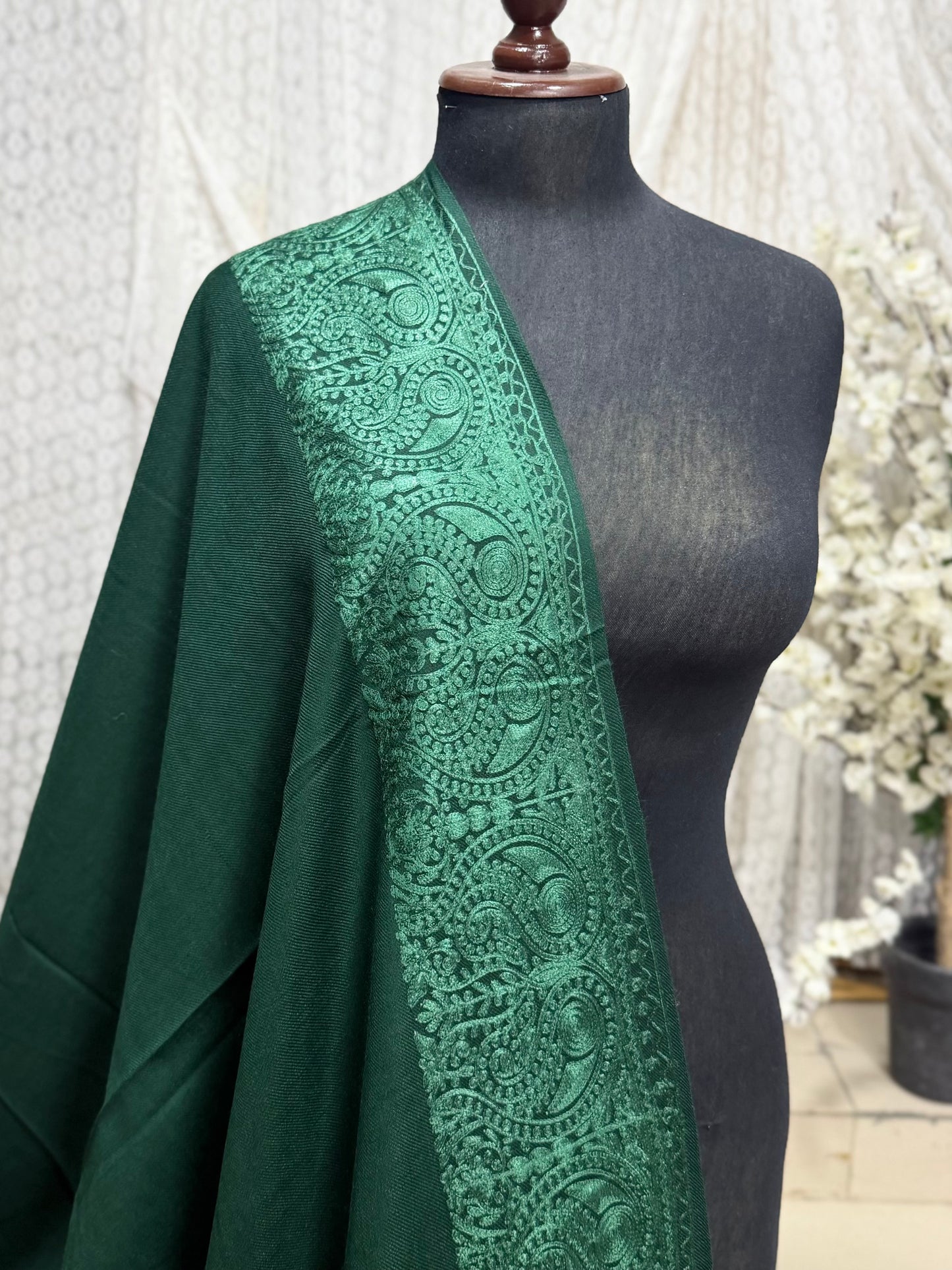 Kashmiri Shawl | 4 Side Wide Border Kashmiri Embroidery | Green With Green