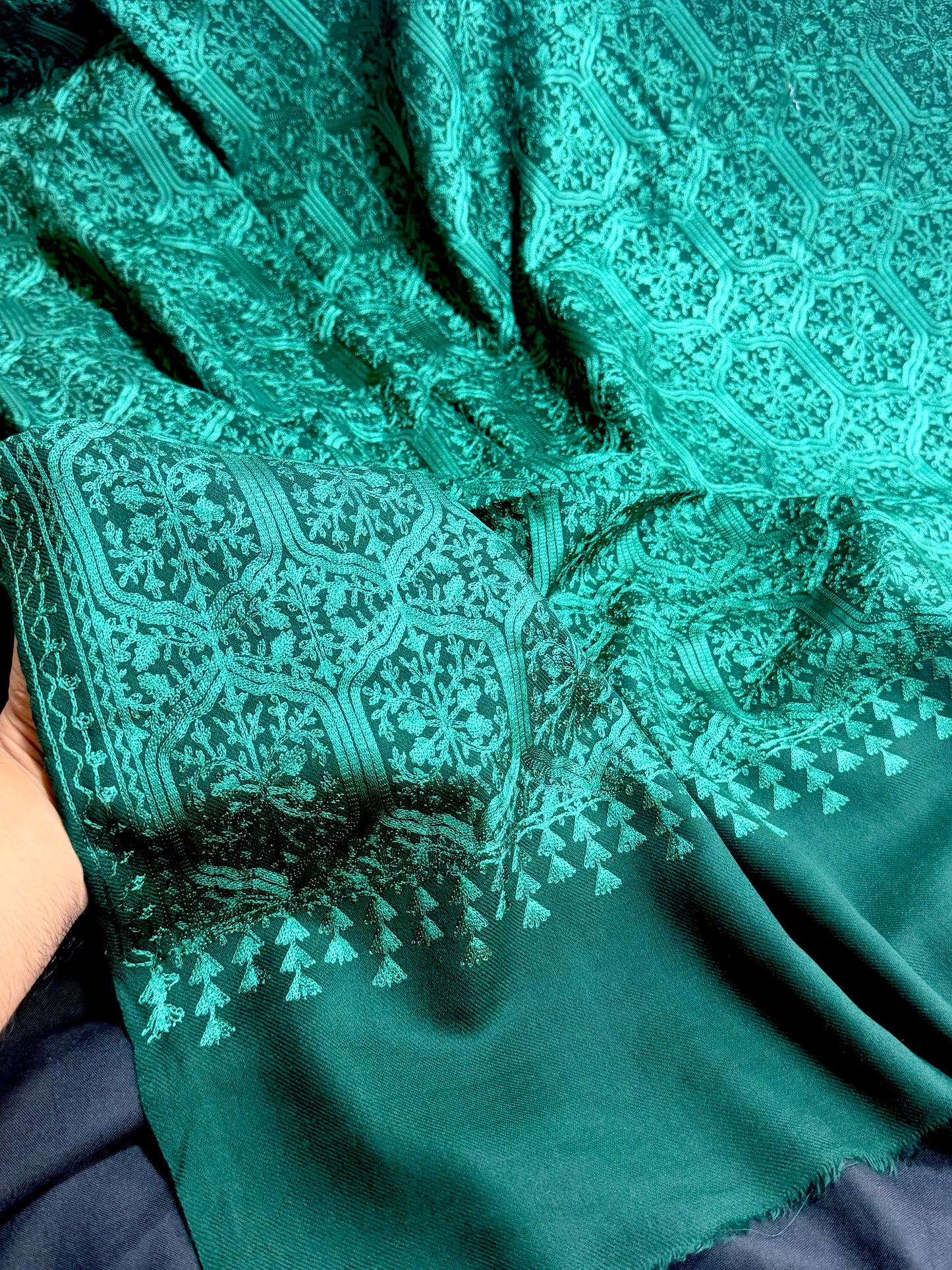 Pashmina Full Embroidered Shawl Nalki Jaal | Green on Green