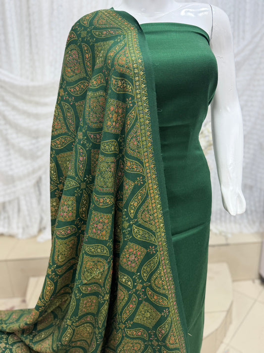 Pashmina 3 Piece Suit | Hand Embroidered Shawl with Plain Suit | Green
