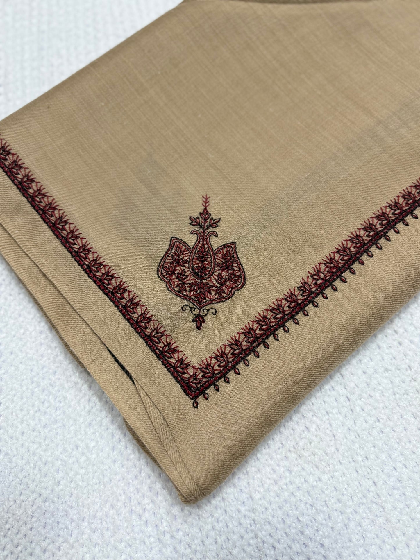 Kingri Border Embroidered Pashmina Shawl | Skin Beige