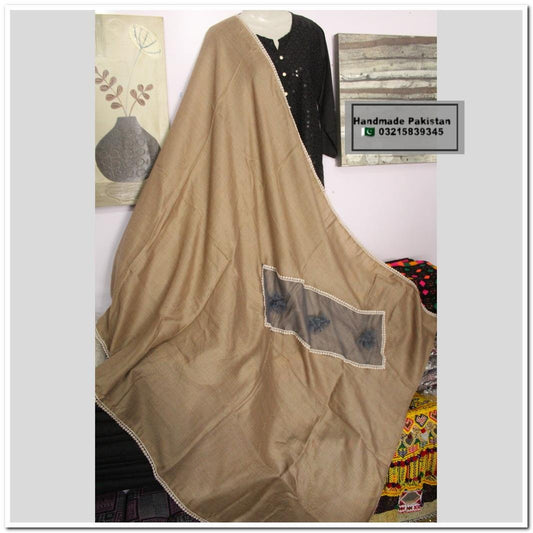 Pashmina Shawl With Net Border Motif