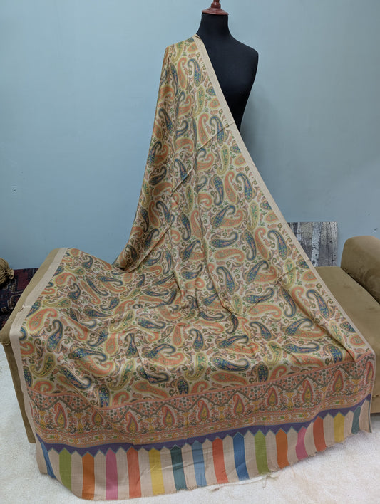Printed Pashmina Shawl | Soft and Fine Pashmina Shawl Perfect For Matching or Gift