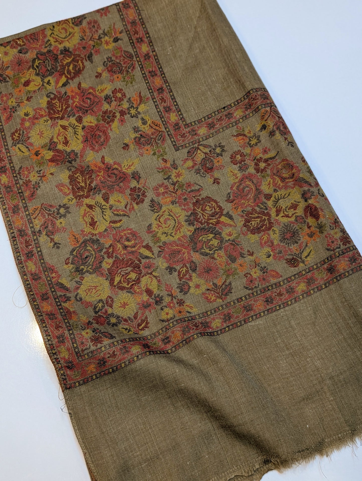 Pashmina Wool Kani Border Shawl in Full Size Multi Color Skin