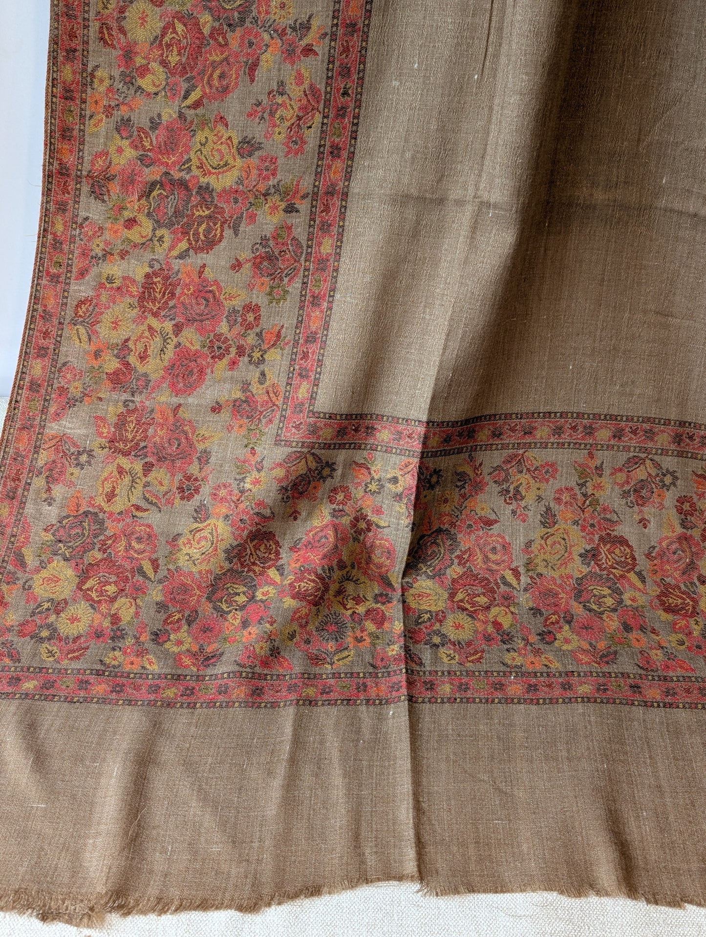 Pashmina Wool Kani Border Shawl in Full Size Multi Color Skin