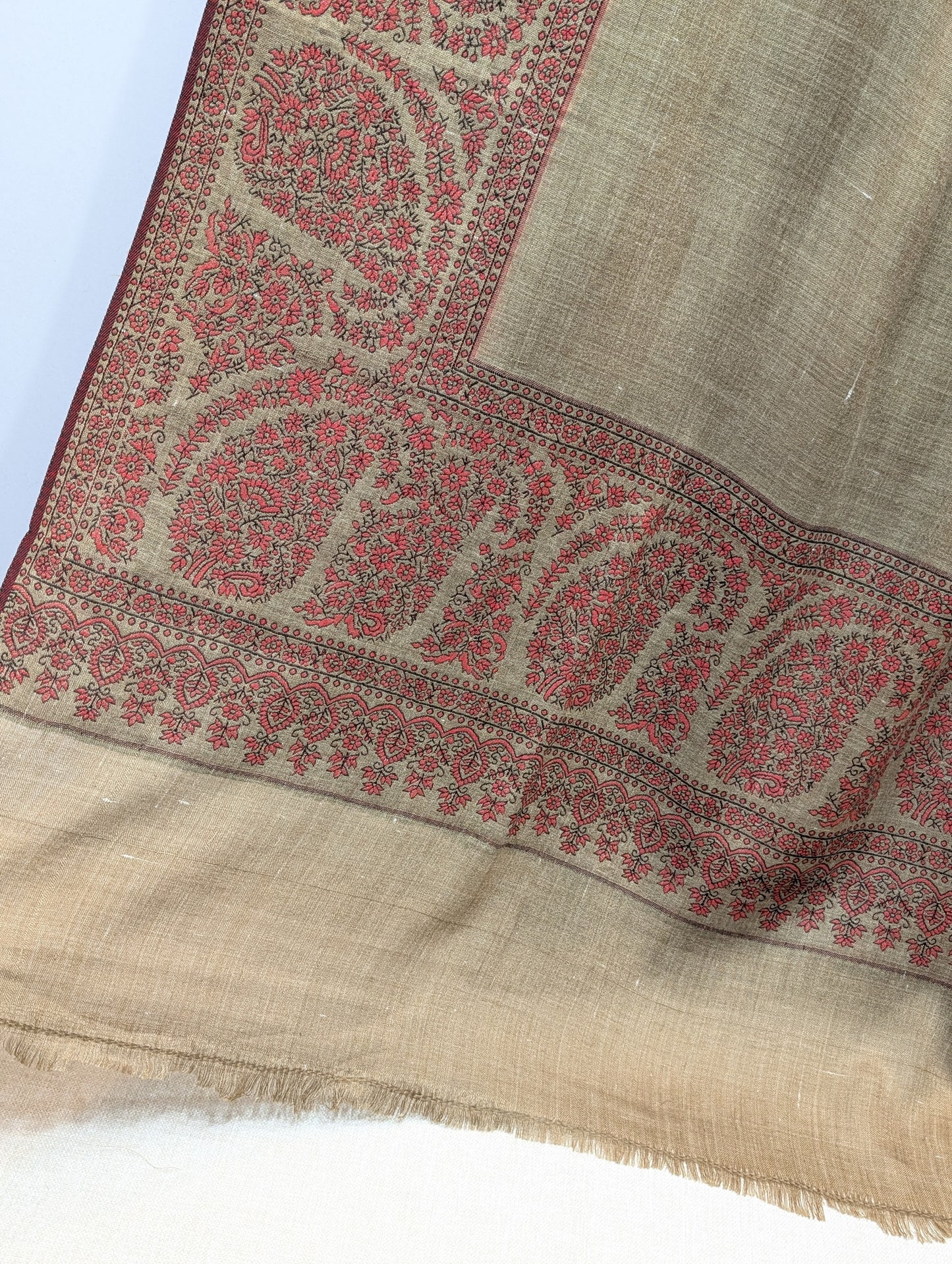 Pashmina Wool Kani Border Shawl in Full Size Multi Color Skin