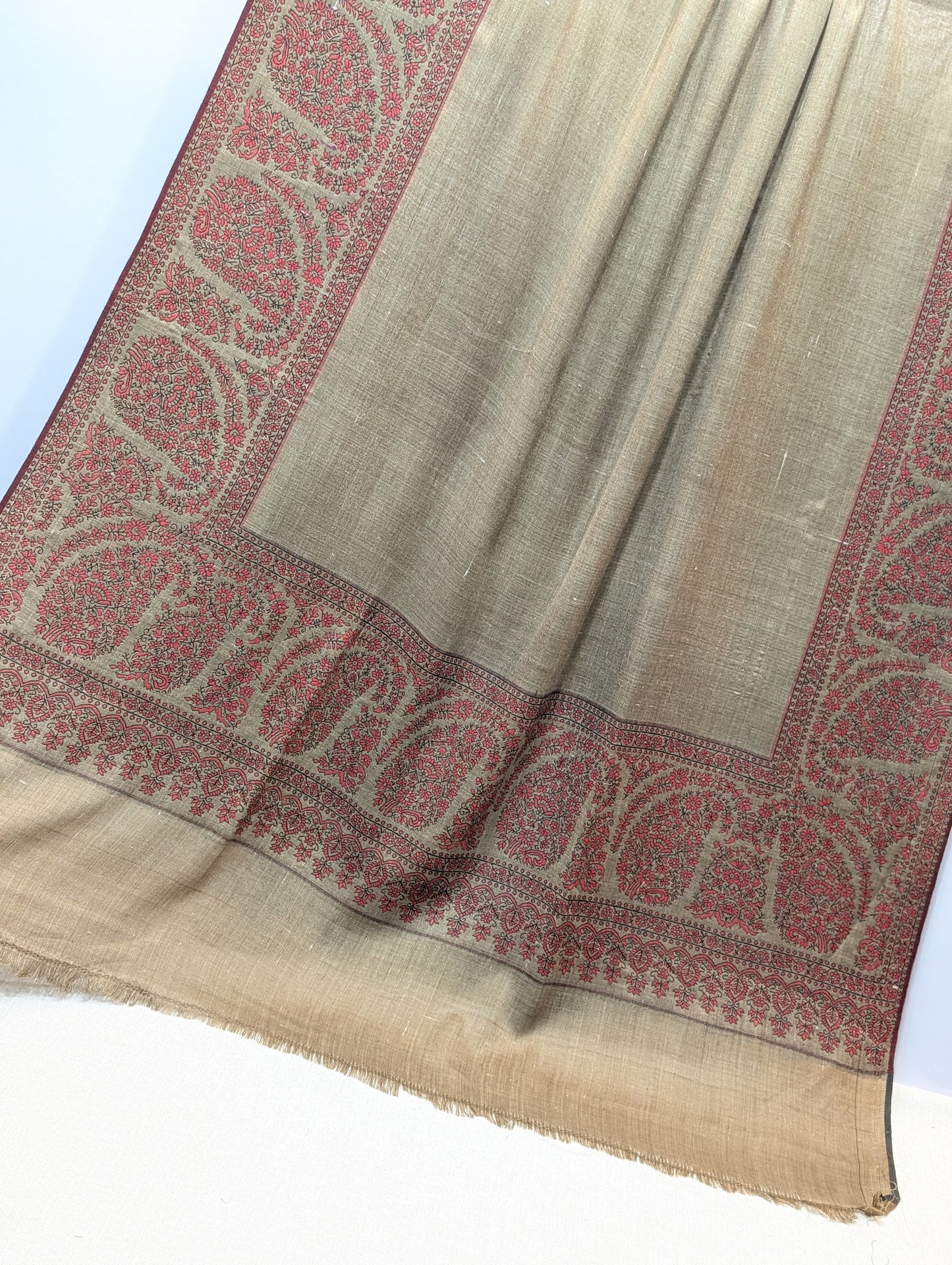 Pashmina Wool Kani Border Shawl in Full Size Multi Color Skin