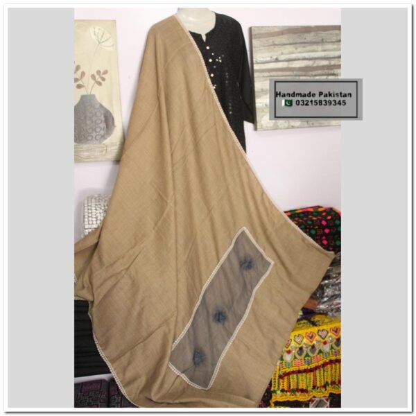 Pashmina Shawl With Net Border Motif