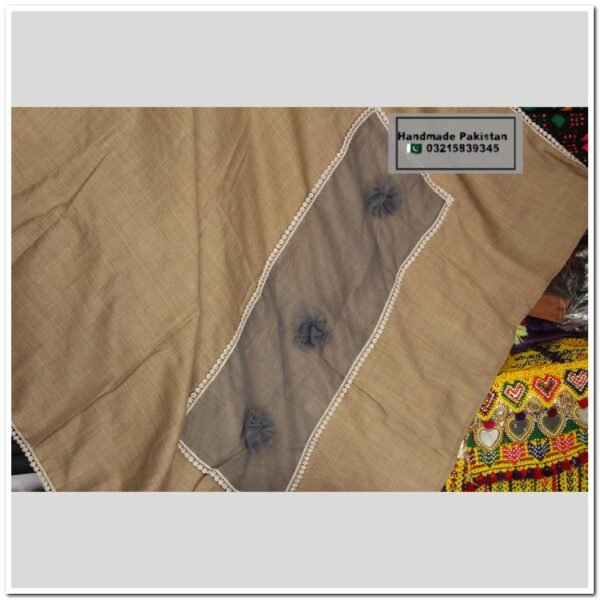 Pashmina Shawl With Net Border Motif - Image 2