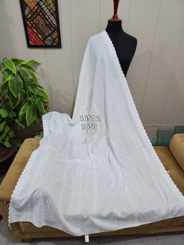 White Breeze Chikankari Shawl - Image 2