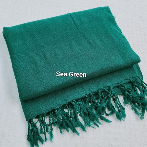 Sea Green Swat Wool Khaddi Made Shawl