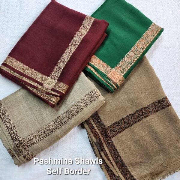 Fine Pashmina Self Border Shawl | Dark Skin - Image 3