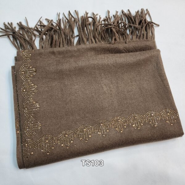 Pashmina Stonework Border Stole Cashmere