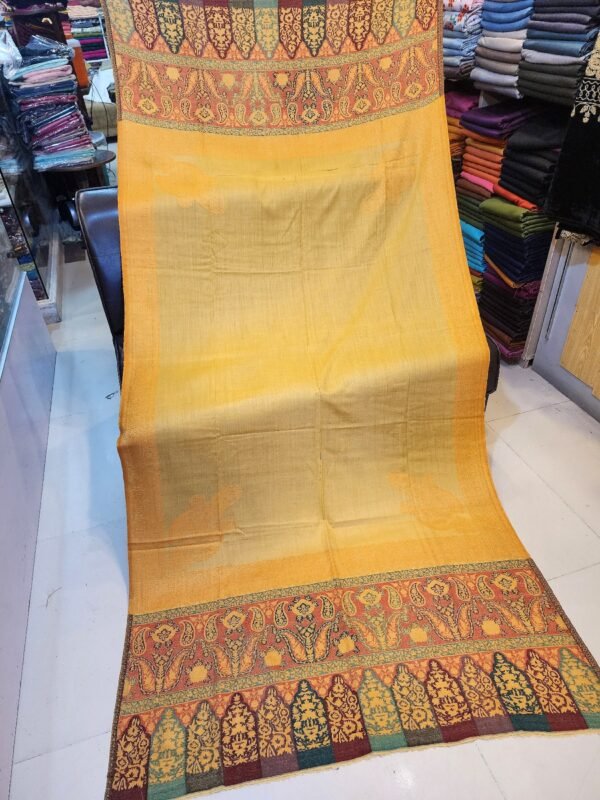 Kani Border Toosh Shawl - Image 2