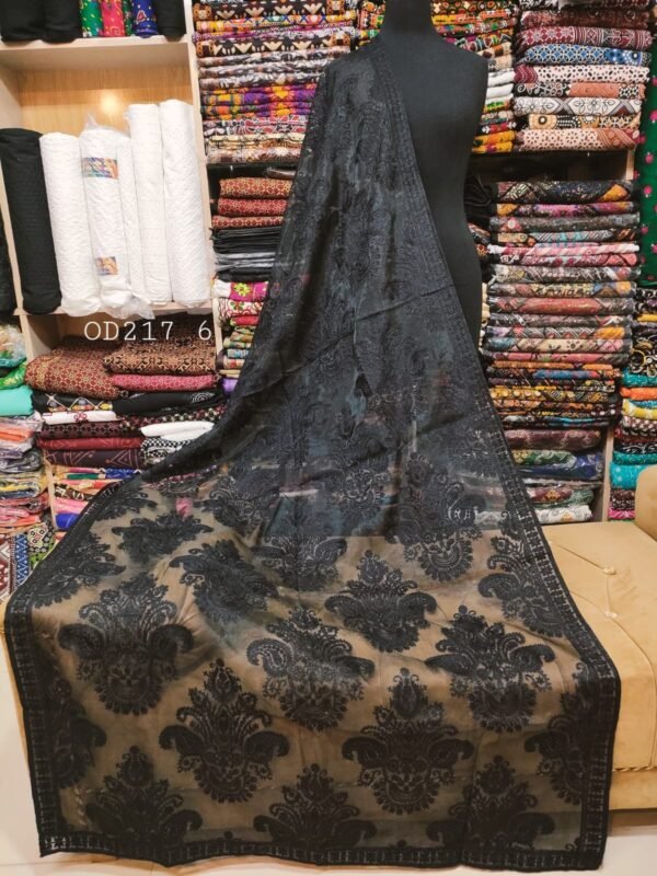 Soft Organza Embroidered Dupatta