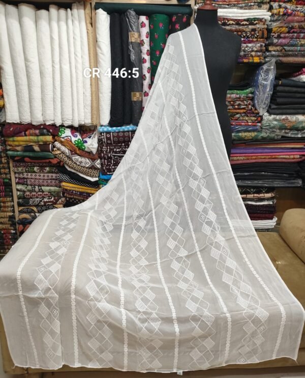 Crinkle Chiffon Embroidered Dupatta - Image 2