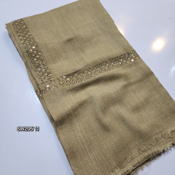 Pashmina Shawl Fancy Stonework 4 Side Border Perfect Gift - Image 2