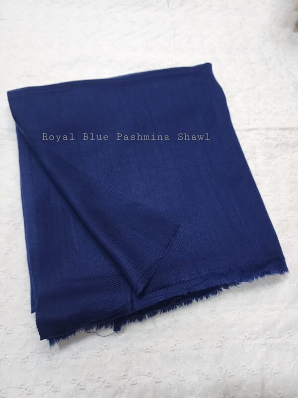 Plain Pashmina