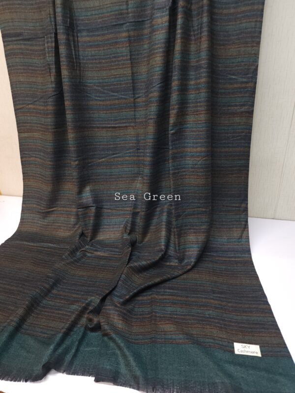 Sky Cashmere Lining Design Pashmina Full Size Shawl Perfect Soft Material for Winter | Sea Green