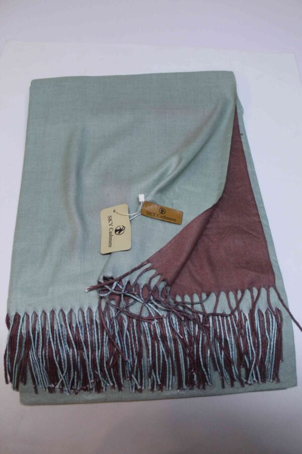 Reversible Pashmina Shawl | Double Side Pure Plain Pashmina Rare Find and Perfect Gift For Winters